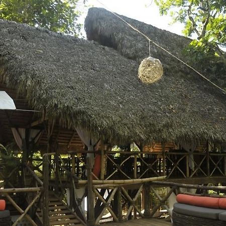 Santa Barbara De Samana Dominican Tree House Village المظهر الخارجي الصورة