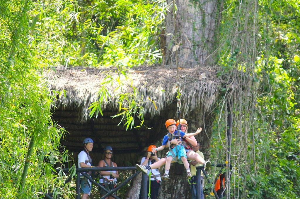 Santa Barbara De Samana Dominican Tree House Village المظهر الخارجي الصورة