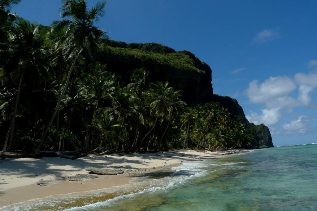 Santa Barbara De Samana Dominican Tree House Village المظهر الخارجي الصورة