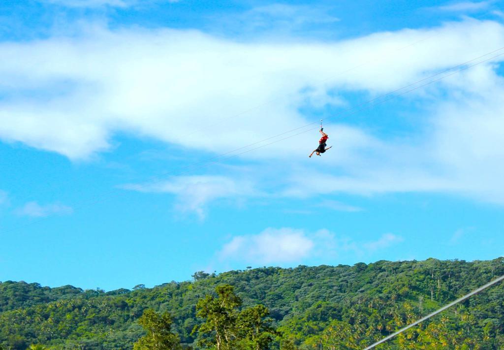 Santa Barbara De Samana Dominican Tree House Village المظهر الخارجي الصورة