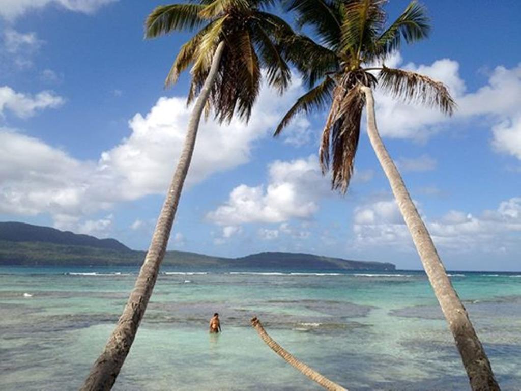 Santa Barbara De Samana Dominican Tree House Village المظهر الخارجي الصورة