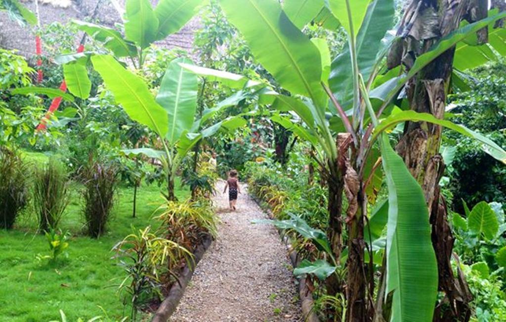 Santa Barbara De Samana Dominican Tree House Village المظهر الخارجي الصورة