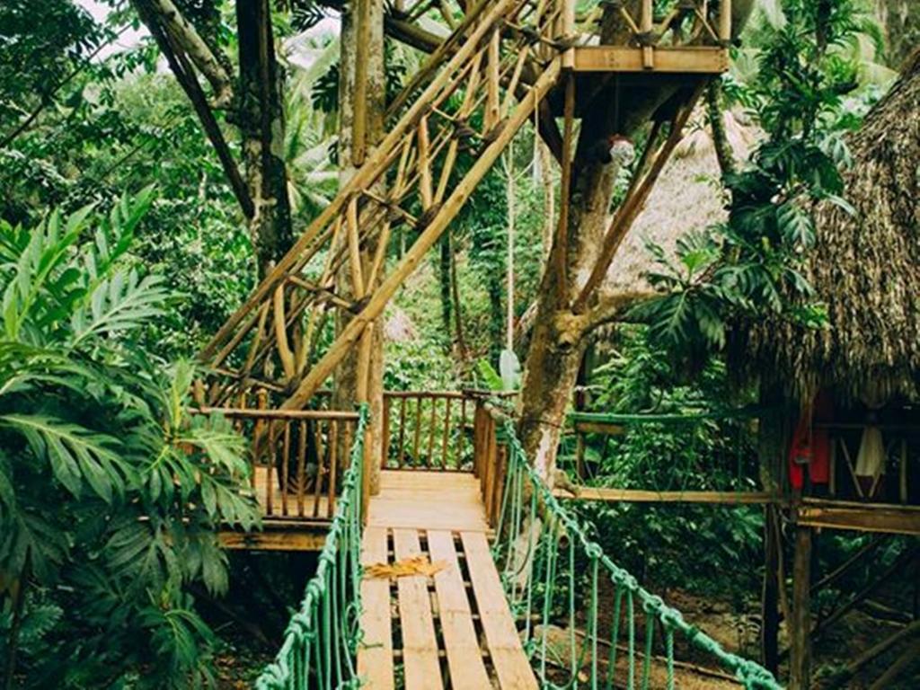 Santa Barbara De Samana Dominican Tree House Village المظهر الخارجي الصورة