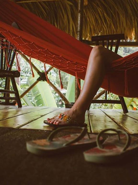 Santa Barbara De Samana Dominican Tree House Village المظهر الخارجي الصورة