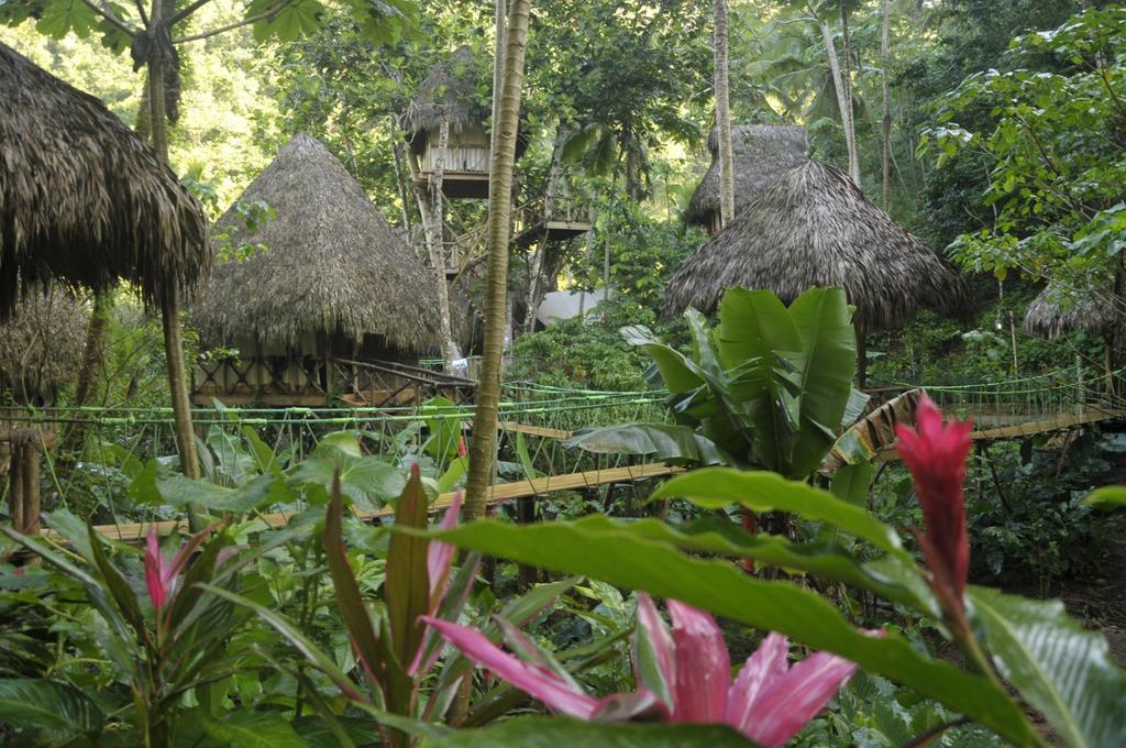 Santa Barbara De Samana Dominican Tree House Village المظهر الخارجي الصورة
