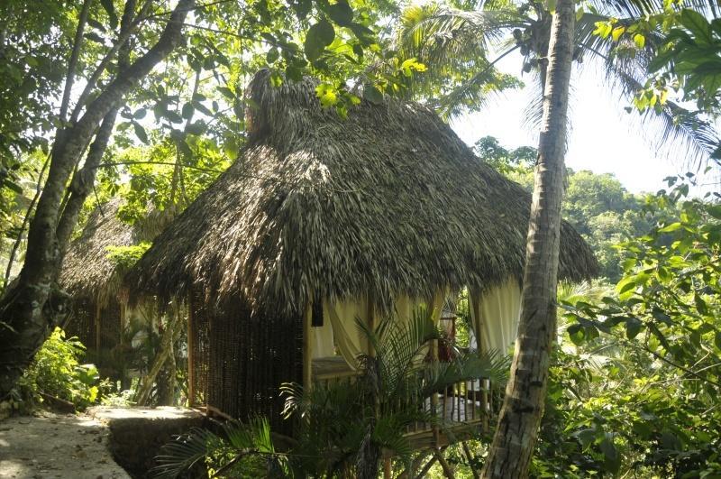 Santa Barbara De Samana Dominican Tree House Village المظهر الخارجي الصورة