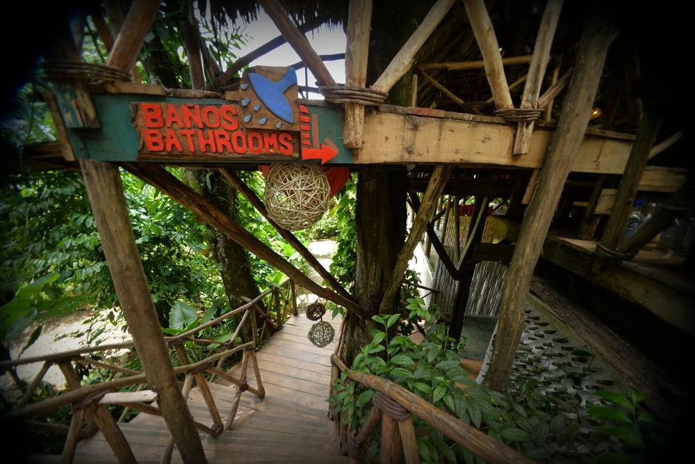 Santa Barbara De Samana Dominican Tree House Village المظهر الخارجي الصورة