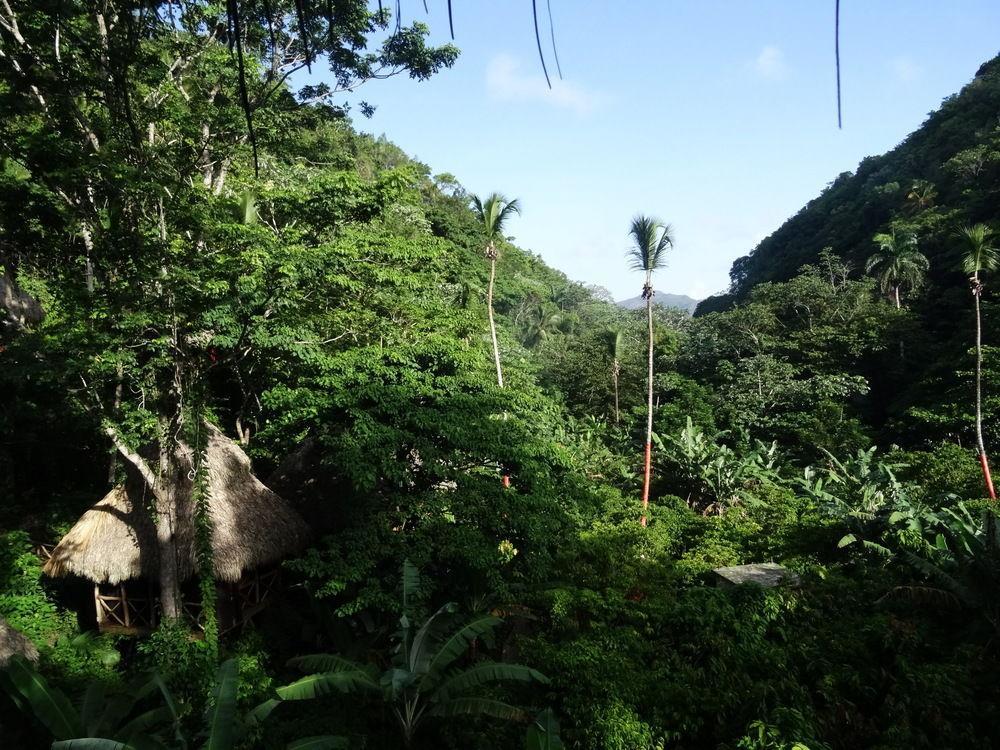 Santa Barbara De Samana Dominican Tree House Village المظهر الخارجي الصورة