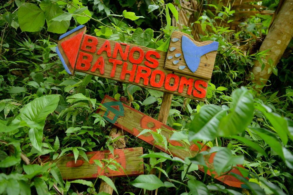 Santa Barbara De Samana Dominican Tree House Village المظهر الخارجي الصورة