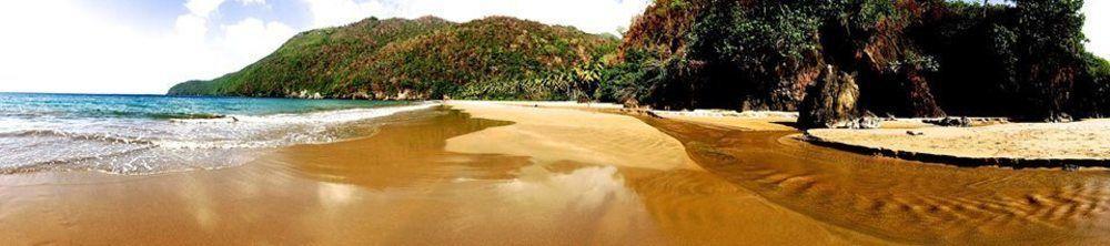 Santa Barbara De Samana Dominican Tree House Village المظهر الخارجي الصورة